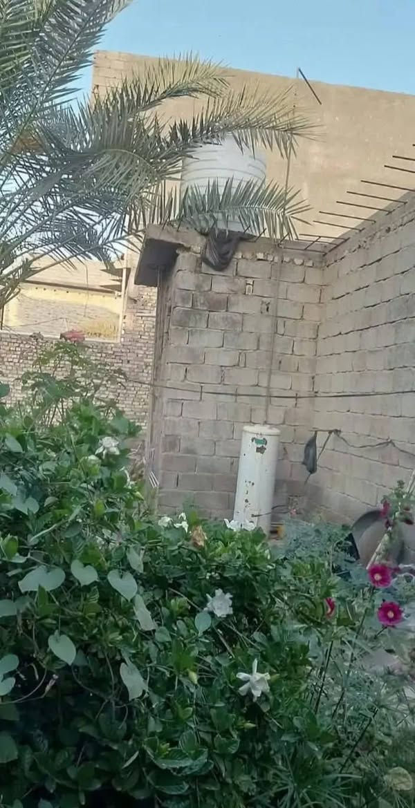 الدار للبيع في منطقةشفته
حته لو ينباع قطع ثنين يشتركون بي

