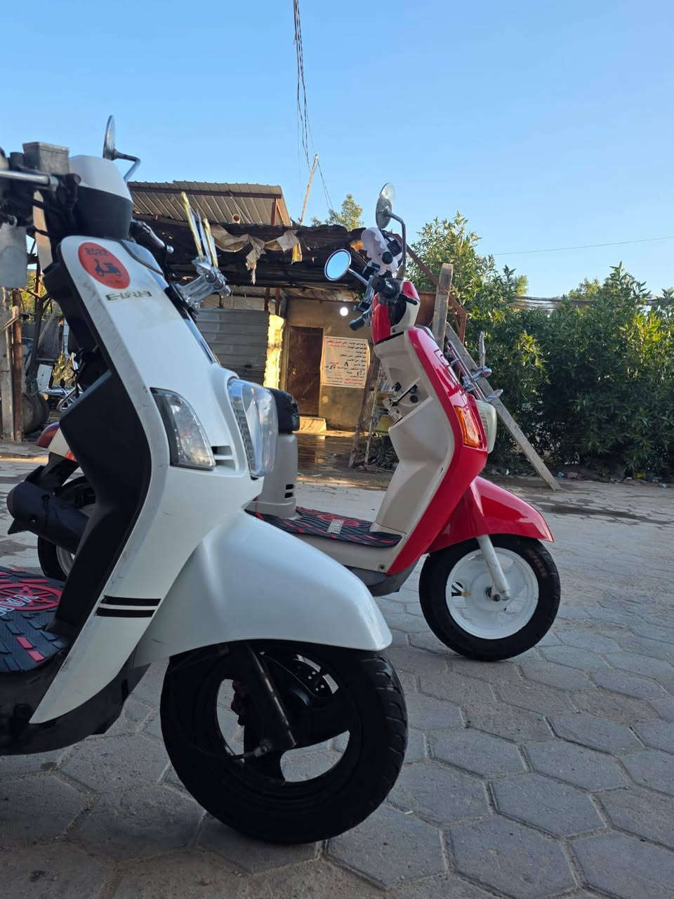 يالله شباب بوليس لون احمر للبيع شرد كفاله من الويل للويل مصاره هواي من طالعه رمبه دراجه رزنه شلعه ومعدل دراجه اذا طلع بيه برغي نقص تاخذه وتروح مكاني نجف حي الانصار


**إذا كنت صاحب هذا الإعلان وتريد حذفه لأي سبب، رجاءا أرسل رسالة إلى الدعم الفني**