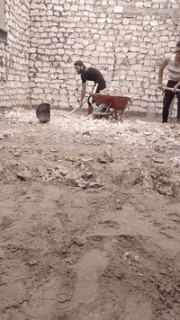 سلام عليكم  / يوجد كادر عمل جاهز/ تصعيد مواد/ تنضيف بيوت/ تفليش/ تكشيط/ سلام عليكم  / يوجد كادر عمل جاهز/ تصعيد مواد/ تنضيف بيوت/ تفليش/ تكشيط/ تنضيف حدائق/ دفن نهري  / شقلنه ليل ونهار   /ومعداتنه جاهز/ ماعليك بس تصال على رقم  /     *********** / حدائق/ دفن نهري  / شقلنه ليل ونهار   /ومعداتنه جاهز/ ماعليك بس تصال على رقم  /     *********** /
