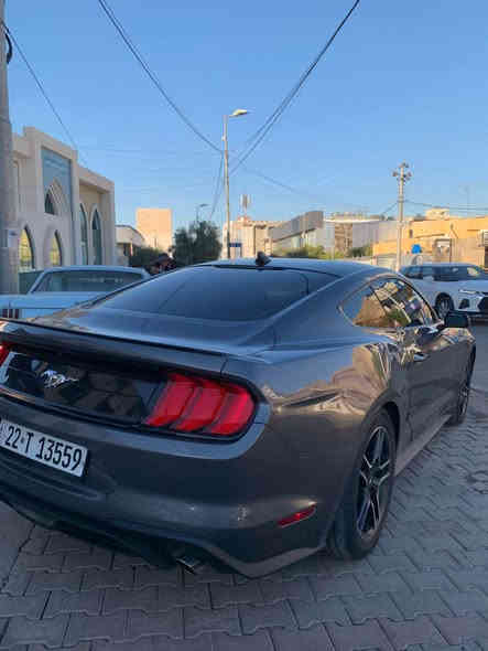 كوردي عربي 

Mustang 2023

٣ پارچە و سەقف سبوغ 
(چامرلغ پێش و پشت 
بۆنیت) 

بەتانەی گرتووە

ئێرباک سوکان 

چوارپستۆن 
مەکینە نەکرایتەوە 

سەنەوی نوێیە 

٣٢ هەزار مایل چووە 

نرخ /  $ 13800

واتساب+ژمارەی ئاسیا (***********(
ژمارەی کۆرەک (***********( أربيل
