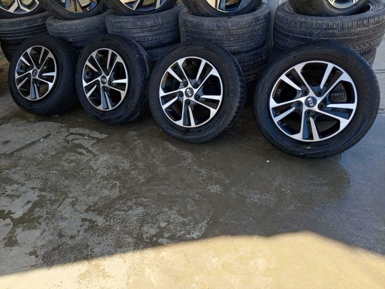 تخم ويل كب الانترة فورتي سيراتو حجم ١٥ اخو الجديد العنوان بغداد الشعلة ***********
***********
