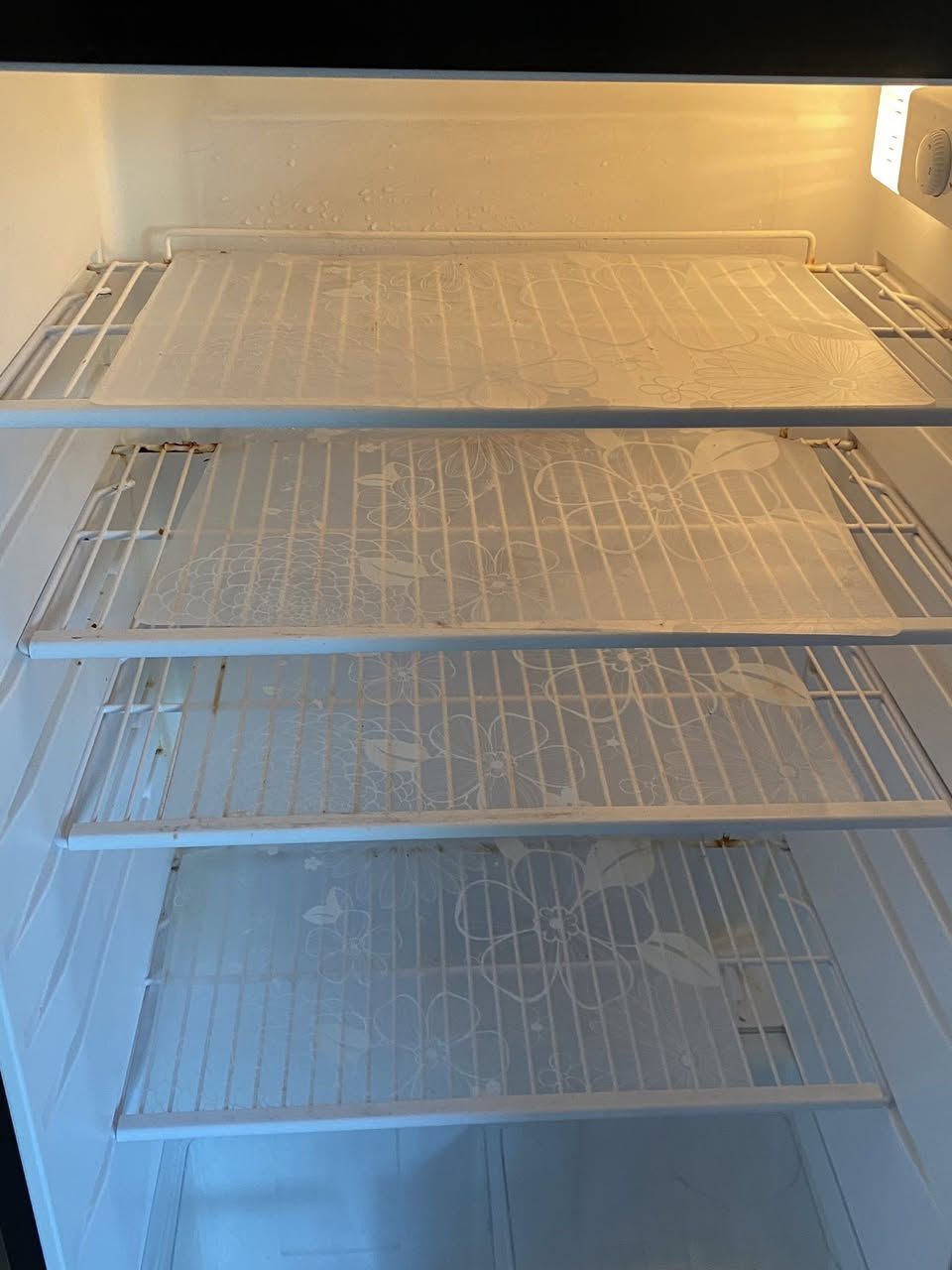 ثلاجة Vistel درجة اولى ومداخلة اي تصليح لون مميز واي عيب مابيها شغالة وبرودتها تخبل
مستعجل ع بيعتها حيل 
السعر ٢٥٠ الف 
***********
