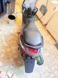 ماكس • ثعلب • فول نضافة