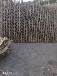 بواري كصب • ١٦٢ • كل الاحجام