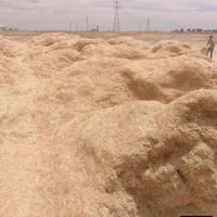 تبن حنطه • نضافه • جنوب الموصل