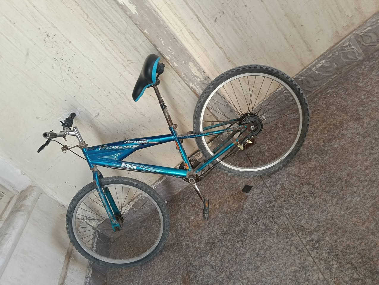 با يسكل جبلي في ناصريه حي شهداء لاستفار ***********
