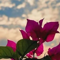 المدائن التويثه • دونمين طابو • بيت ٣٥٠م ٦ غرف