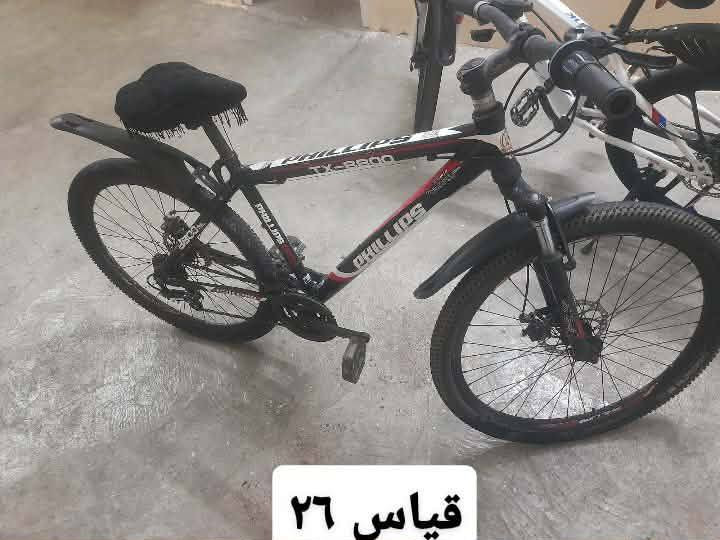 ‎هەولێر‎ أربيل, العراق


**إذا كنت صاحب هذا الإعلان وتريد حذفه لأي سبب، رجاءا أرسل رسالة إلى الدعم الفني**
