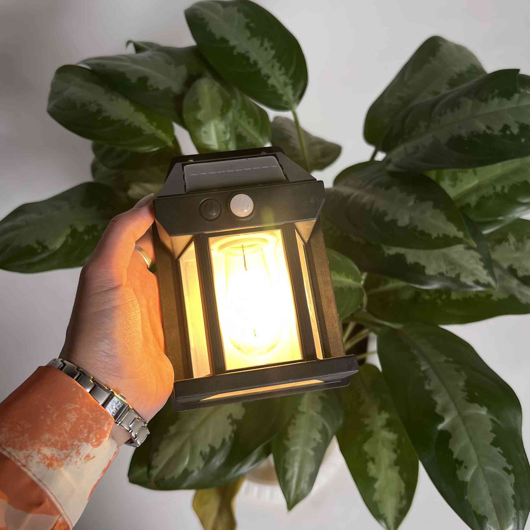 قطعتين [17الف]+التوصيل مجاني 🌞✨ إضاءة ذكية وأمان أكثر حول بيتك!

مصباح جداري شمسي موديل 889 بحساس حركة يشتغل تلقائيًا أول ما يستشعر الحركة 💡
سطوع قوي 600 لومن يغطي مساحة واسعة بزاوية 120° حتى 8 أمتار 🚶‍♂️

يشحن من الله: يمتص ضوه الشمس بالنهار، ويشتغل وحده أول ما تظلم الدنيا..


**إذا كنت صاحب هذا الإعلان وتريد حذفه لأي سبب، رجاءا أرسل رسالة إلى الدعم الفني**