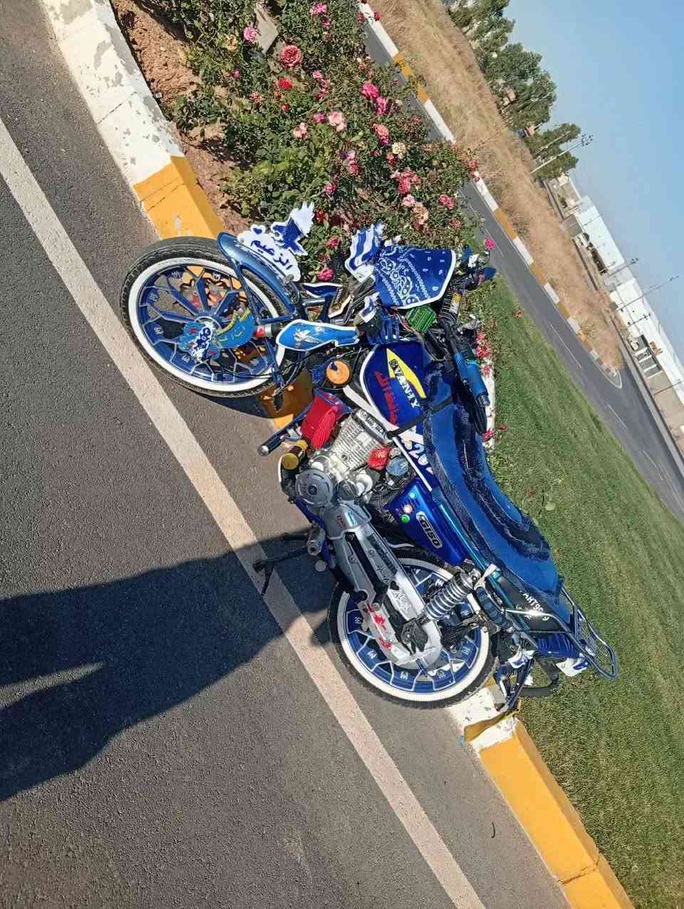 *********** واتساب

