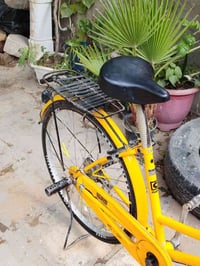 باسكل • برتقالي • نجف ميسان