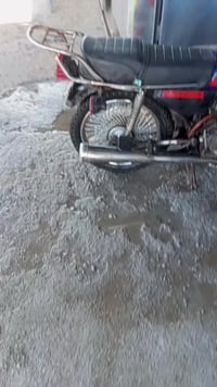 نام برومروس • زنبور • ٢٠١١