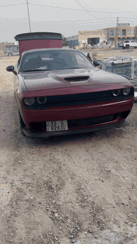 جالنجر 21 sxt 
تو ويل 
رقم بغداد انكليزي باسمي مميز
ماشيه 49 
حادثها جاملغ خلفي وبالعراق جاملغ امامي نصه انصبغ اثر طخة دراجة
بدون ايرباكات 
تشغيل عن بعد 
كار بلاي
شاشة كبيره
وباقي مواصفات معروفه 
مكاني بغداد الكرخ او بالاعظمية متواجد ليلاً 

مراوس بجارجر اوباما 

علمآ سعرها 200 

***********
