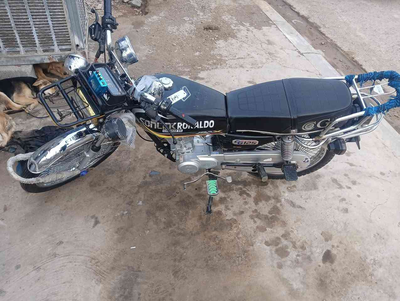 دراجة تايكر البيع موديل 23سعر600نضافة فول وراق كاملة


**إذا كنت صاحب هذا الإعلان وتريد حذفه لأي سبب، رجاءا أرسل رسالة إلى الدعم الفني**