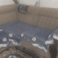 ديوان 10 مقاعد • استعمال قليل • نضيف كلش