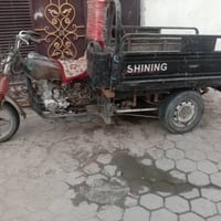 ستوته • بدون أوراق • الوحه