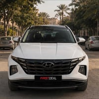 توسان ٢٠٢١ • الفئة الرابعة • بانوراما فرش جلد