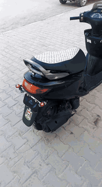 فراشة • نضيفة • نجف القادسية