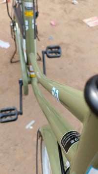 باسكل • زيتوني • موديل ١٩