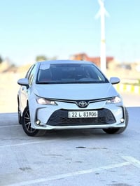 كورلا خليجي • ٢٠٢٤ • رقم أربيل