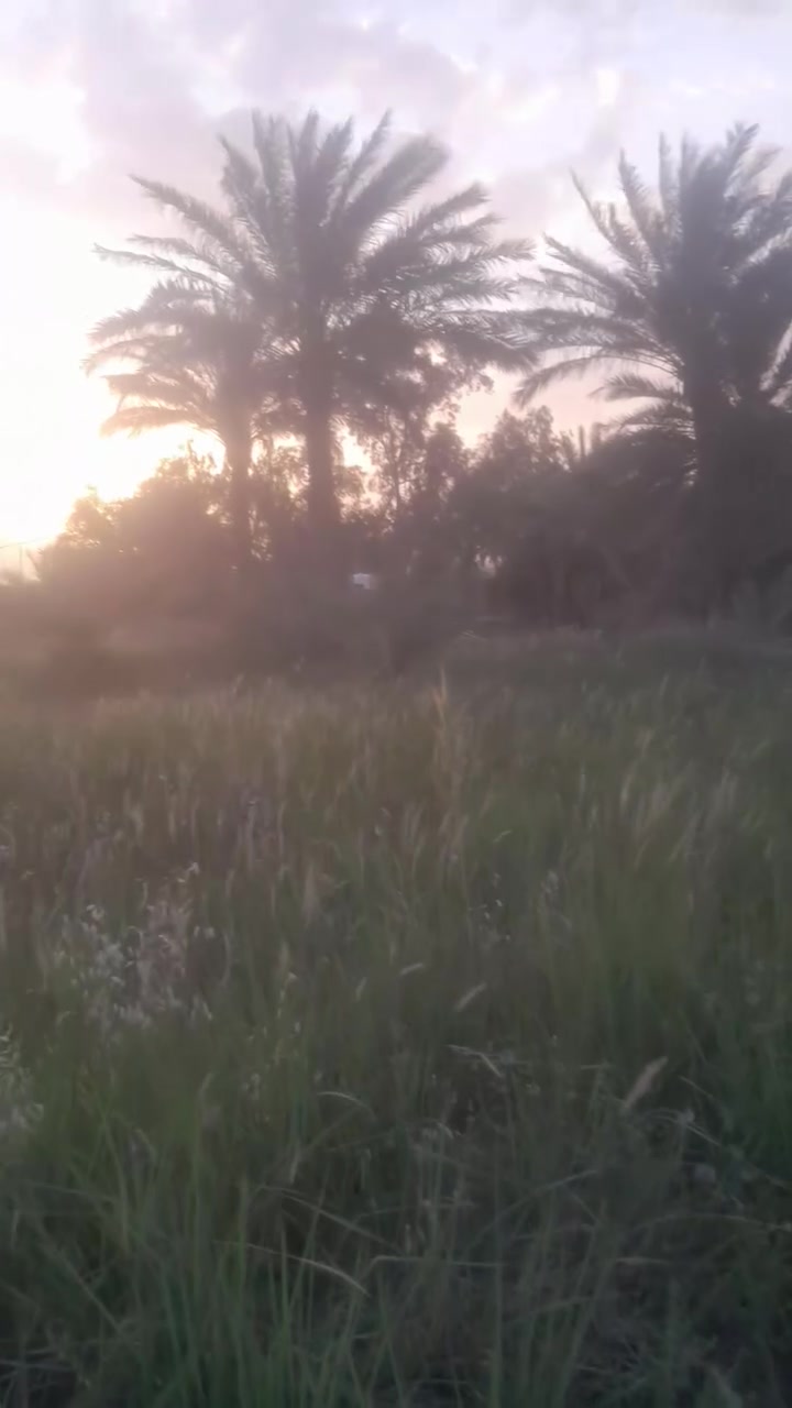 السلام عليكم ارض زراعيه للبيع عقد ١١٧ المساحه ٢ دونم تصلح للزراعه والسكن خدمات ماء كهرباء تبليط مقابيل مشروع الوحده للاستفسار  ***********
