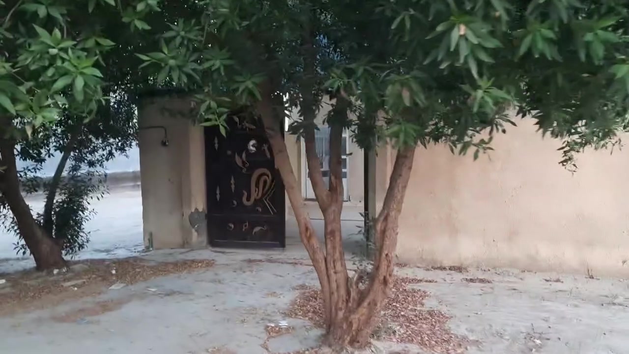 ياالله السلام عليكم 

بيت للبيع طابو صرف مساحه 200
طابق واحد صب كونكريت 
غرفتين نوم
 صاله كبيرة منور
أستقبل 
كراج سيارة 
مجمع صحيات داخليه وخارجيه 
موقع البيت تجاري 
حي الأمير 95
شارع 20
الاستفسار أكثر اتصال 
***********
ملاحظة البيت بي قاصر شخص واحد بعدله 9 أشهر يبلغ 18
اي ظمان تحب موجود 
السعر جدا مناسب
