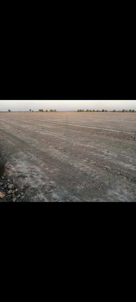 ارظ زراعيه للايجار ماء متوفر 120دونم المكان كربلاء الكرطه الاستفسار ***********

