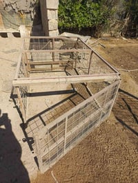 محجل • ستوته • واير