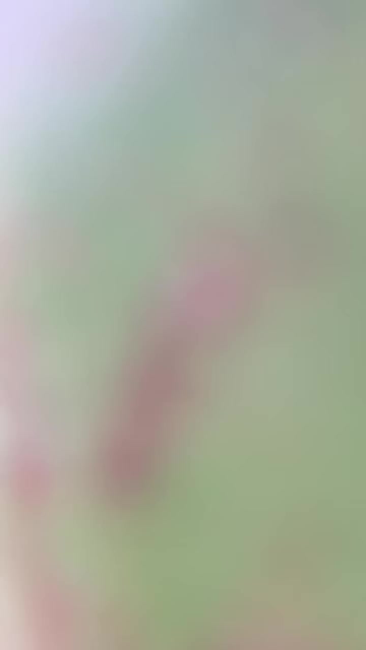 السلام عليكم سافيني كامل مكمل منفيي 
الصور بتحكي ما لح احكي 
سعرو ٦٧٠ الف  موديل ٢٤  الله يبارك لشرا ❤️‍🔥


**إذا كنت صاحب هذا الإعلان وتريد حذفه لأي سبب، رجاءا أرسل رسالة إلى الدعم الفني**