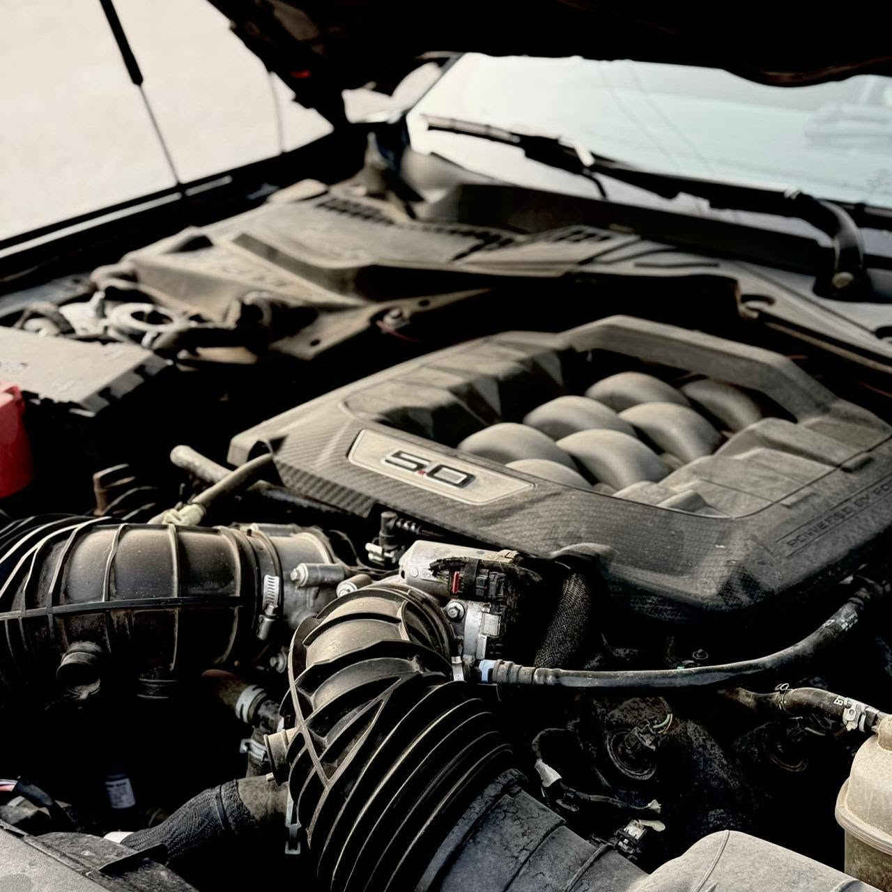 السلام عليكم 
Ford Mustang GT Premium Black Edition 2024
رقم بغداد بأسمي هزة جديدة تحويل ثاني يوم 
المواصفات:
بريكات Brembo 
Active Exhaust اربع وضعيات
Remote Rev
بصمة ابواب وصندوك وتشغيل 
كشنات جلد حضن وكهرباء 
كشنات تدفئة تبريد 
نضام صوت Bang & Olufsen (B&O)
شاشة متصلة CarPlay
مراية وسطية اوتو دم
مستشعر مطر ع ماسحات 
تشغيل لايت عالي تلقائي بالضلام 
شحن وايرلس
انارة داخلية متغيرة 28 لون
هاند بريك بصمة 
6 وضعيات قيادة 
رادار 360
حساسات وكاميرا خلفية
تبريد مناخين منفصل
مثبت سرعة
تنبيه خروج عن المسار
تشغيل عن بعد
نضام ترحيب 
انارة شعار Mustang ع ارض

اضافات:
داون بايب
فلتر شوتة K&N
دفيوزر Dark Horse اصلي 
برمجة كراج 4Brothers
سقف رولز رويس
‏LED دشبول متغير
السيارة بيها نص باب السايق ونص الصندوك صبغ وخشم الشاصي امامي ايمن وطخات معدلة PDR 
السياره كل قطعها اصليه وسستم ايرباك كله راجع
السعر : 248 وبيها مجال بسيط
العنوان: بغداد، الدورة، شارع ابو طيارة
للتواصل : ***********
