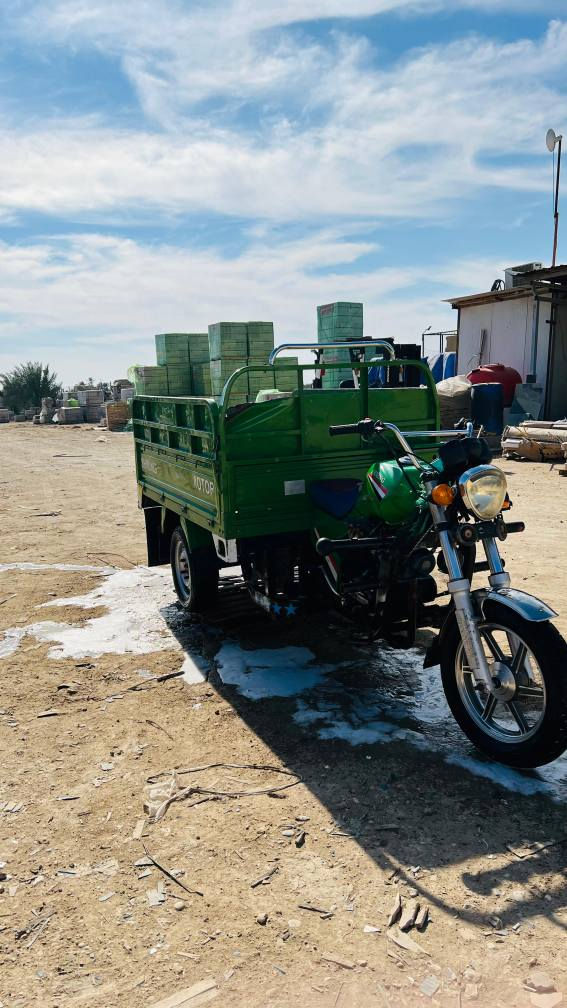 متاح ستوته كربلائيه جمره فحل موديل 2023 اوراق أصولي ***********/يشتغل واتساب
