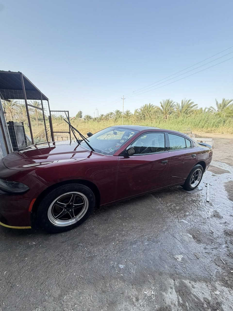 جارجر 2020sxt
وارد امريكي حادث فقط دعاميه وراجعه نفسيتهه
لون كرزي 📍
حداده جديده 
طخم تاير ويل 18ويلد  
تبريد جديد 
رقم بغداد 
باسمي 
فتحه 
تبريد تتفائه 4مقاعد 
ستيرن هيتر 
شاشه كار بلي 
كفاله عده بارد 
السعر 235 
عنوان السياره 
البصره قضاء المدينه 
***********
