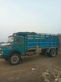 بدي ابو ردين للبيع الطول خسمة 5 امتار  والاستفسار على هذا الرقم 078332...