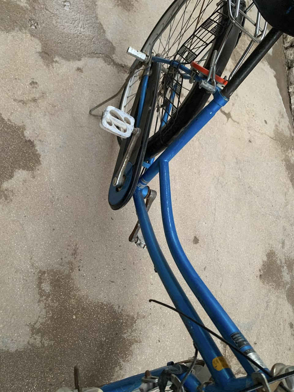 باسكل للبيع
ويل طاقه 
باسكل 26 
ويا تاير امامي 
باسكل جديد
مكاني الملعب 
***********
