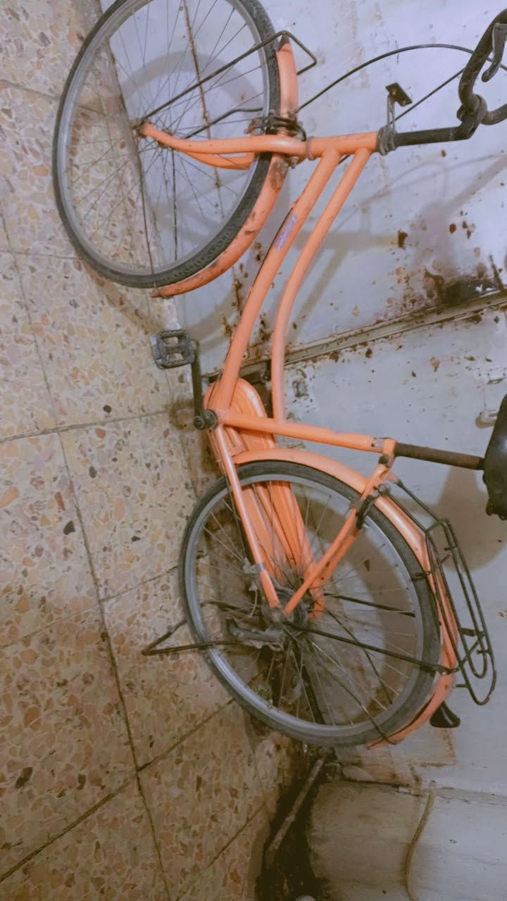 بايسكل للبيع مكاني كاضميه توصيل ماكو سعر خاص بناتي حجم 26 لون 🍊


**إذا كنت صاحب هذا الإعلان وتريد حذفه لأي سبب، رجاءا أرسل رسالة إلى الدعم الفني**