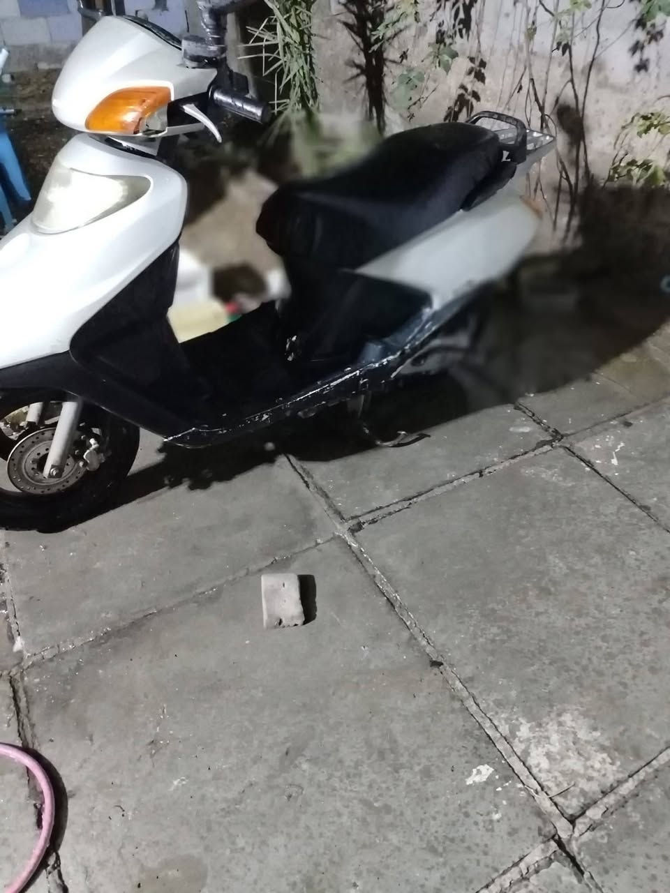 دراجه سبيسي شغاله لايت شغال بس متروكه  كفراتها نظيفه   سعر 250 مكان الزعفرانيه


**إذا كنت صاحب هذا الإعلان وتريد حذفه لأي سبب، رجاءا أرسل رسالة إلى الدعم الفني**