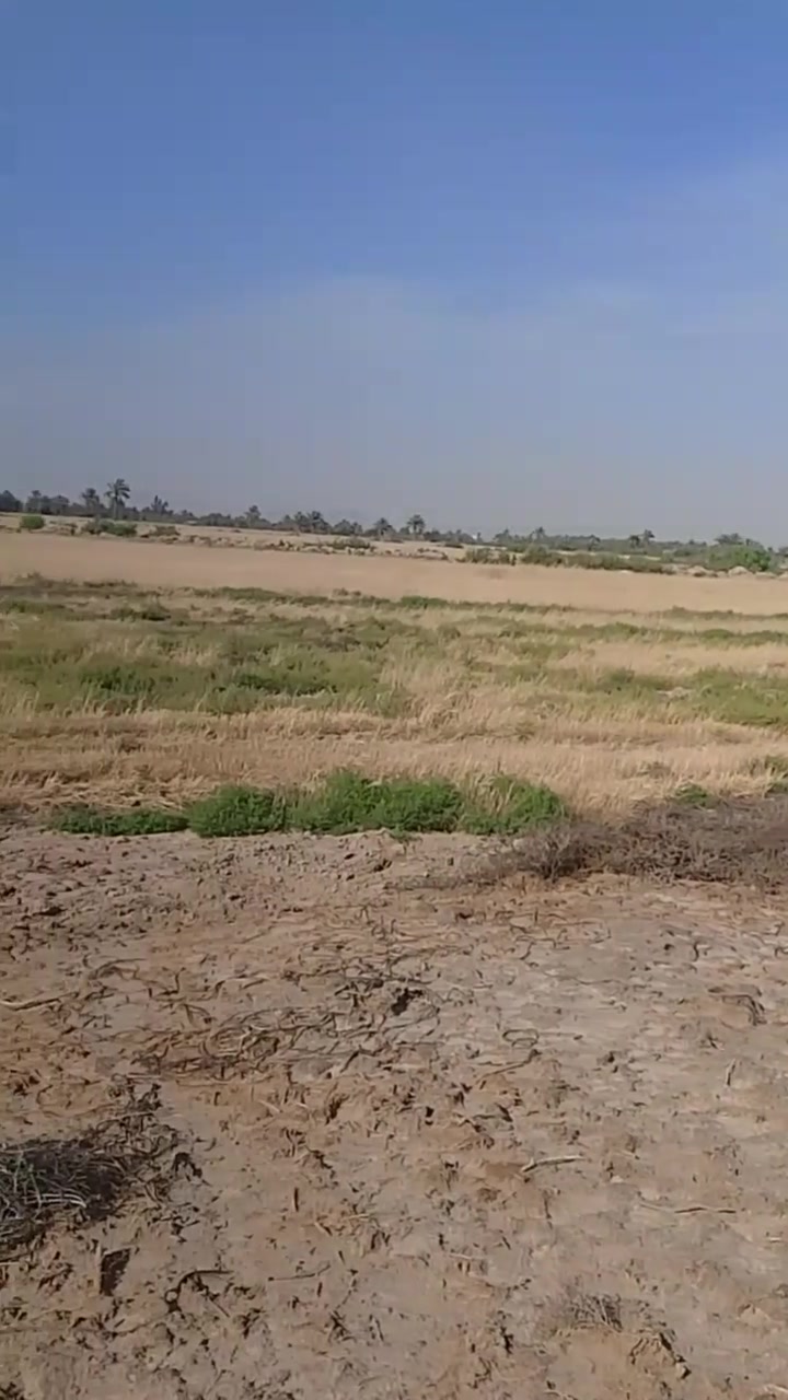 🌾 إعلان بيع أرض زراعية مميزة 🌾

📍 الموقع:
الحلة / بابل / السوملي
قرب نهر عتاب – قرية البوكزار

🔹 نوع الأرض: طابو زراعي
🔹 المساحة الكلية: 10 دونم
🔹 إمكانية البيع: من 1 دونم إلى 10 دونم

✅ مناسبة للسكن والزراعة
✅ تتوفر فيها:
💧 ماء إسالة
💧 ماء سقي
🌱 الأرض مزروعة حالياً بمحصول الحنطة

👤 صاحب الأرض:
الشيخ فائز تركي السند

📞 للتواصل:
1️⃣ ***********
2️⃣ ***********
