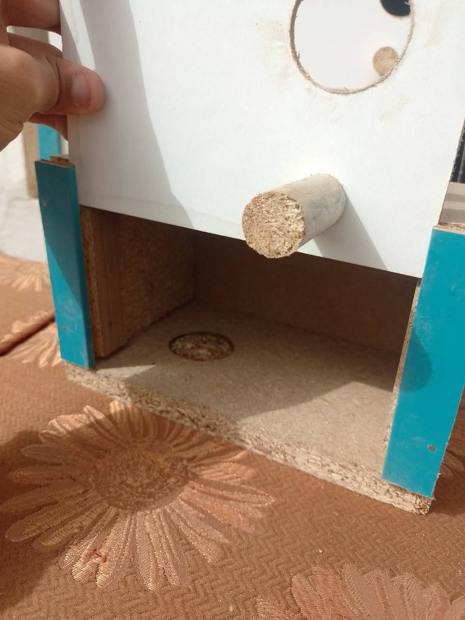 يوجد قاصات طير حب مفرد و جمله سعر المفرد 2000 ثلاثه ب 5000 وللي يريد جمله يتصل على رقمي ***********
