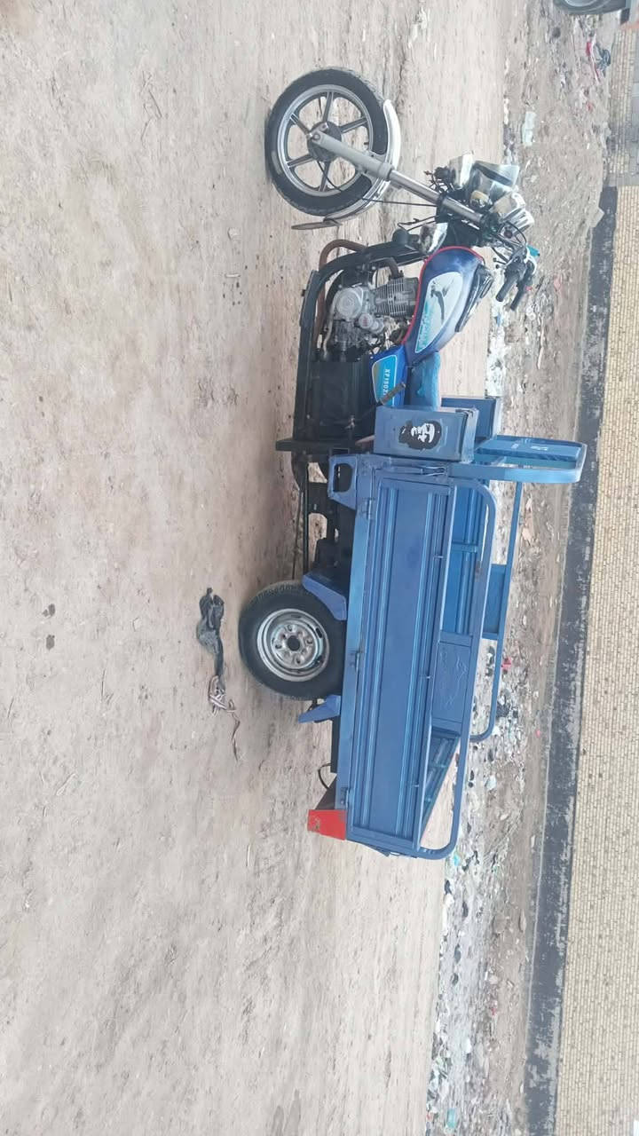 موديل ٢١ ديوانيه مركز


**إذا كنت صاحب هذا الإعلان وتريد حذفه لأي سبب، رجاءا أرسل رسالة إلى الدعم الفني**