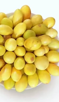 تطعيم كافه أصناف النبك ٠٧٨٢١٥٠٢٠٤٥