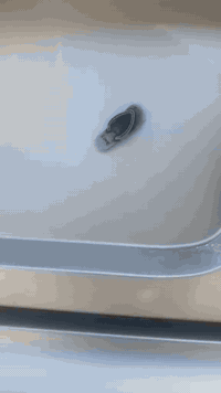 سياره سمند للبيع السياره جاهزه من كلشي موديل 12 كريستال السياره بسمي  ...