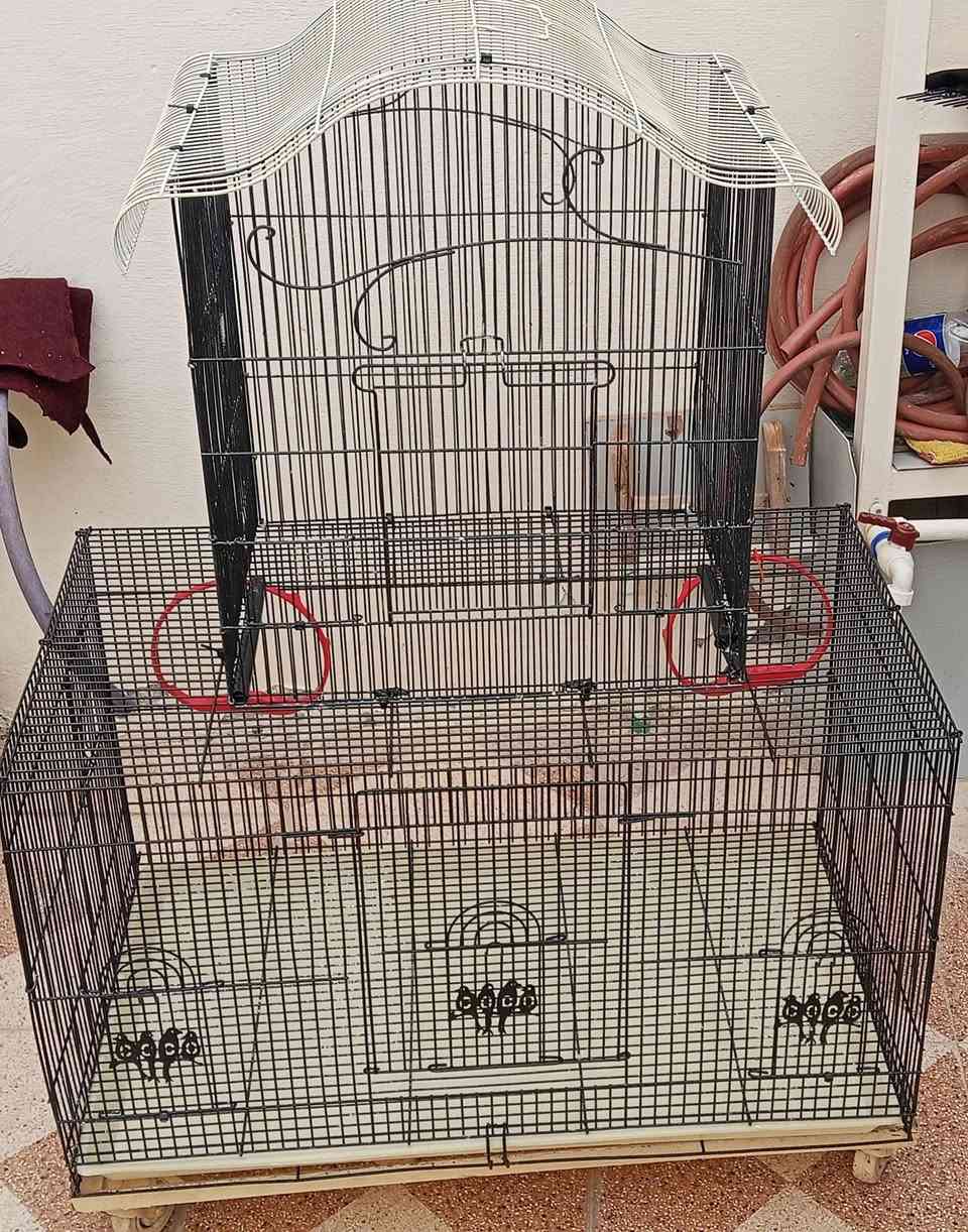 للبيع قفص طيور
***********
