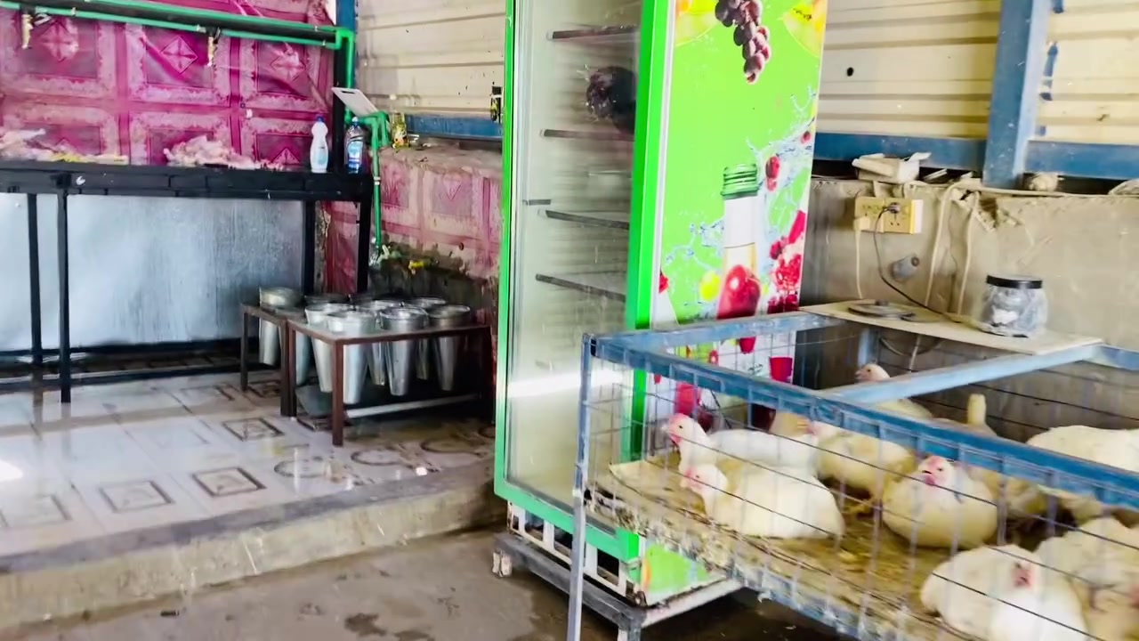 يا الله اخووان يوجد لدينا دجاج مقطع
دجاج خشن 8500 
كيلو افخاذ 5000 
كيلو صدر دجاج 5000
كبد دجاج 2500 
اجنحه 4500
ركب دجاج 2000 
العنوان مجاور كوفي تفاحه نزله ماركه علي الامير 
الستفسار ***********
