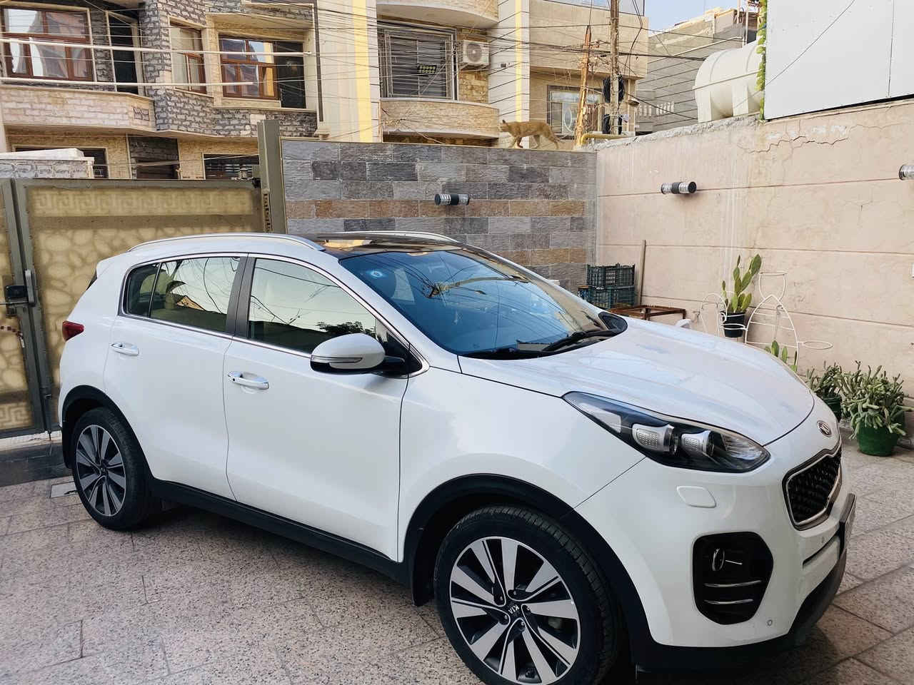 كيا سبورتج موديل 2019 خليجي فول واحد على واحد مكفولة ماشية 46600 لف بغداد على إيدي نظيفة من كل النواحي 
السعر 21500$
مكانها كاظمية ***********
