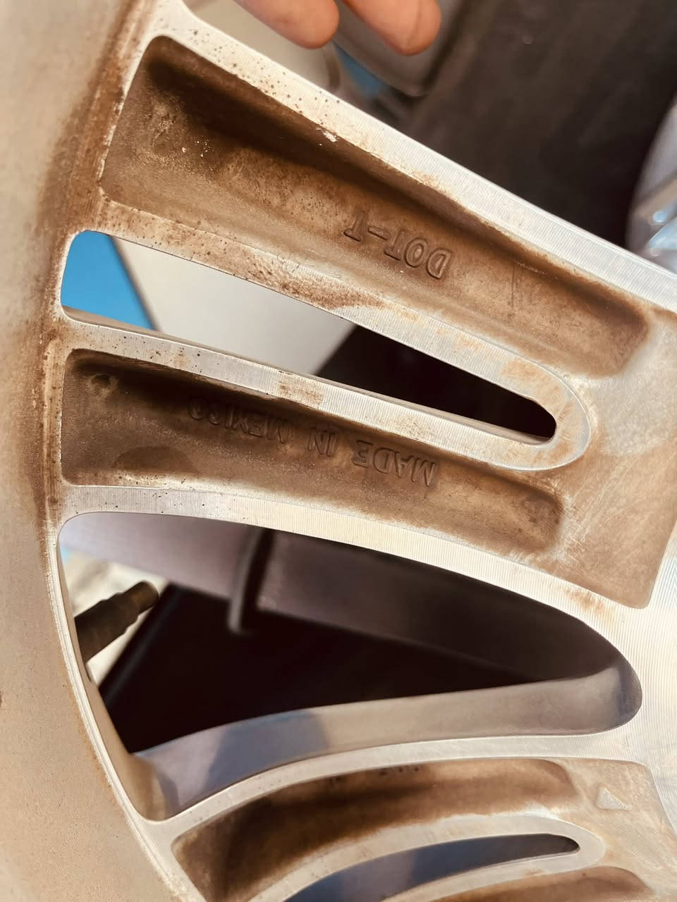 ويل مكسيكي اوباما اصلي  فتح سعره 6 ورقات مكاني بصره ***********
