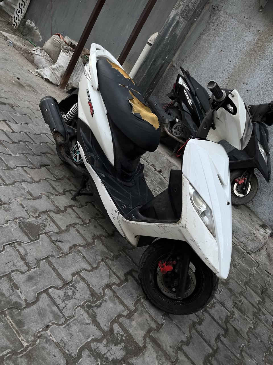 سلام عليكم
ماكس ثعلب GTR للبيع دراجه نضيفه كلها بلاد 
طستها حلوه ونضيفه مكينه ناعمه لا تأخير ولا تبخير ولا تنقيص 
مكاني بغداد حريه الثانيه
للتواصل واتساب فقط 
***********

رجاءاً الم المو شراي لا يجي ولا يتعبني ويا

