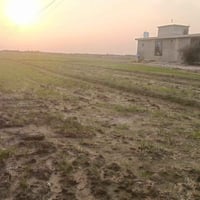 أرض ٥ • بيت ٢٥٠م • سند ٢٥ زراعي