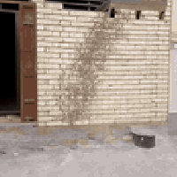 بيت هيكل للبيع م 43 متر قرب مدرسة السماحة السعر ع خاص// 07714760137