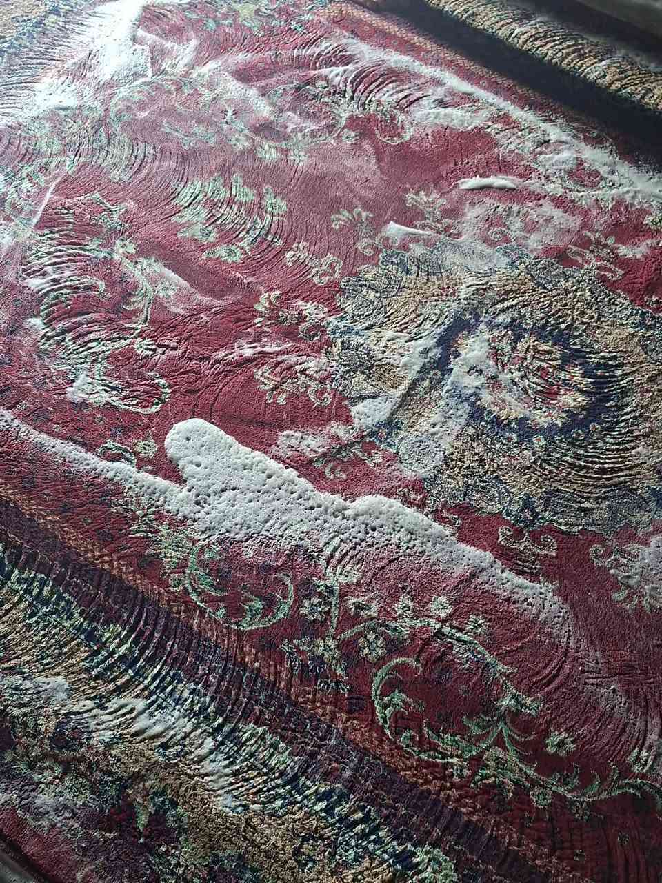 مكوئ سبع ابكار يرحب بكم غسل السجاد وكوي الملابس وازالةالبقع الصعبه التوصيل مجاناً داخل سبع ابكار 

***********
