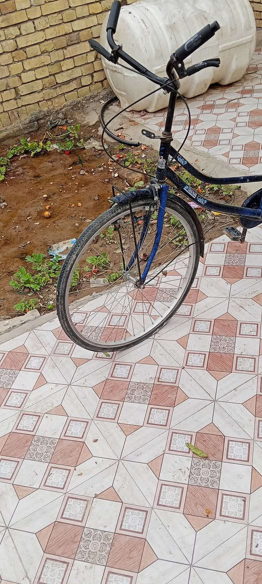 سلام عليكم بيسكل للبيع مكان شطره السعر 110 وبيه مجال


**إذا كنت صاحب هذا الإعلان وتريد حذفه لأي سبب، رجاءا أرسل رسالة إلى الدعم الفني**